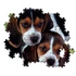 Kép 3/3 - Kutyás Beagles Close Together 500 db-os puzzle Clementoni
