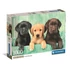 Kép 1/2 - Kutyás Three Labs 1000 db-os puzzle Clementoni