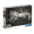 Kép 1/2 - Cicás Dark 1000 db-os puzzle Clementoni
