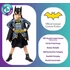 Kép 3/5 - Batgirl Shadow Princess jelmez 6-8 év