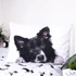 Kép 4/4 - Kutyás Border Collie ágyneműhuzat 140×200cm, 70×90 cm