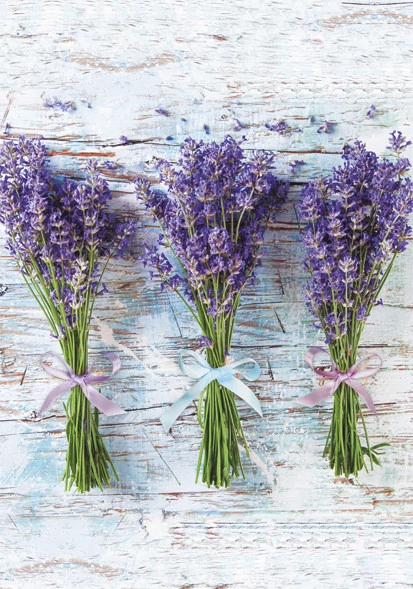 Levendula Bouquet A/4 gumis mappa