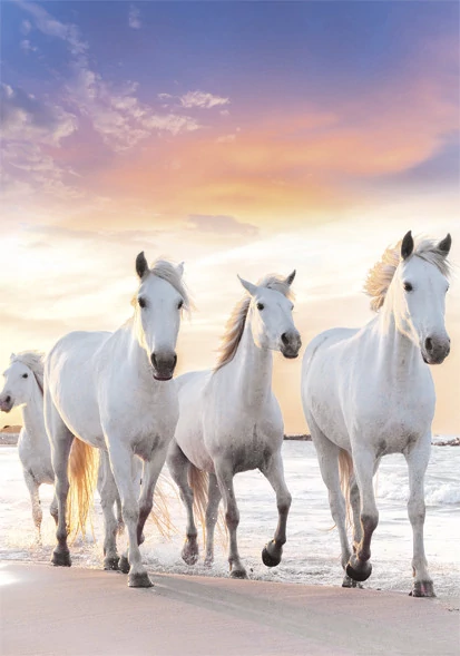 Lovas Gallop A/4 gumis mappa