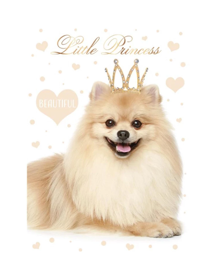 Kutyás Little Princess A/4 gumis mappa