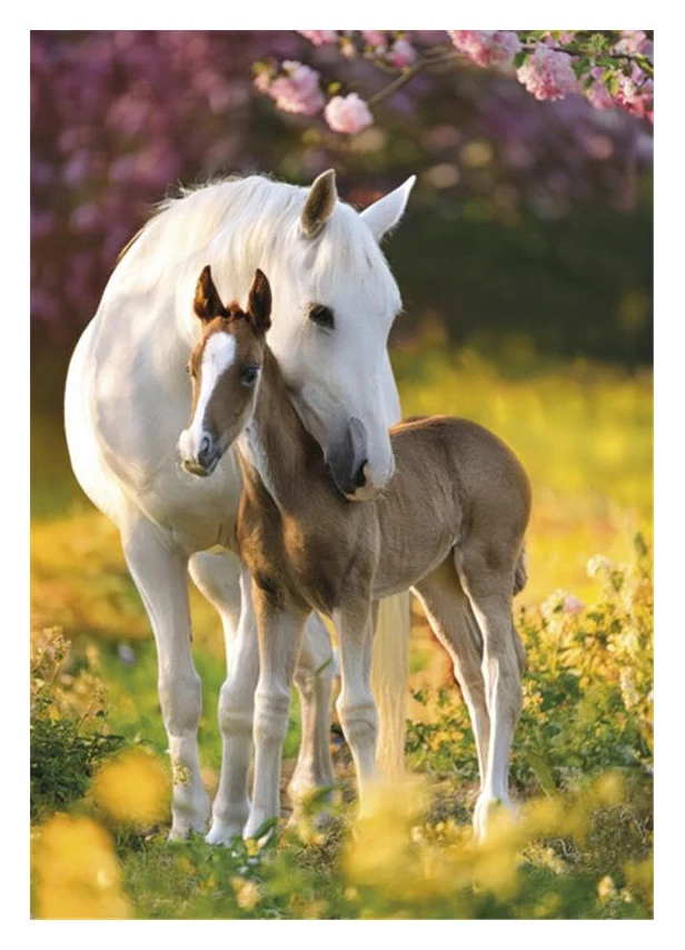 Lovas Spring Foal A/4 gumis mappa