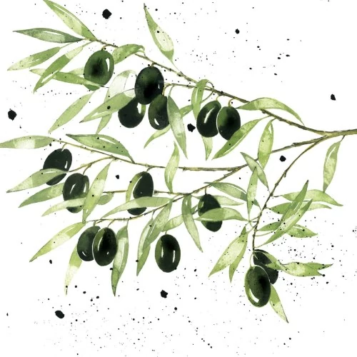 Olives papírszalvéta 33x33cm,20db-os, PPD.C1334394