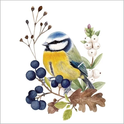 Oiseau en Nature papírszalvéta 33x33cm, 20db-os, PPD.C133002275