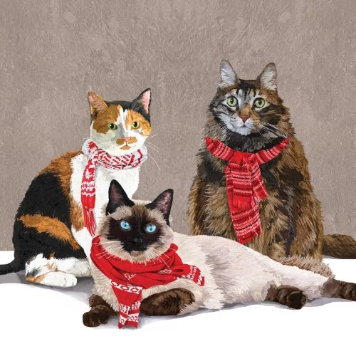 Scarf Cats papírszalvéta 33x33cm, 20db-os, PPD.C333002455
