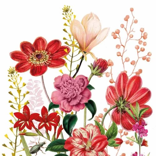 Floria papírszalvéta 33x33cm, 20db-os, PPD.C133002605