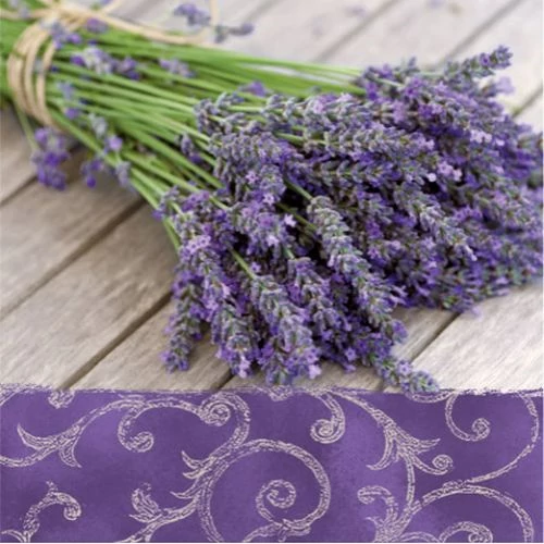 Lavender in the Country papírszalvéta 33x33cm,20db-os, P.W.SDL090000
