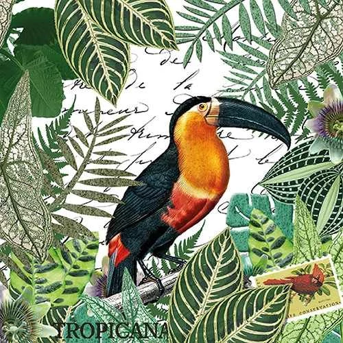 Tropicana papírszalvéta 33x33cm,20db-os, AMB.13313965