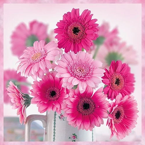 Pink Gerberas papírszalvéta 33x33cm,20db-os, AMB.13314010