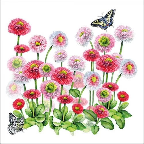 Bellis papírszalvéta 33x33cm, 20db-os, AMB.13314950