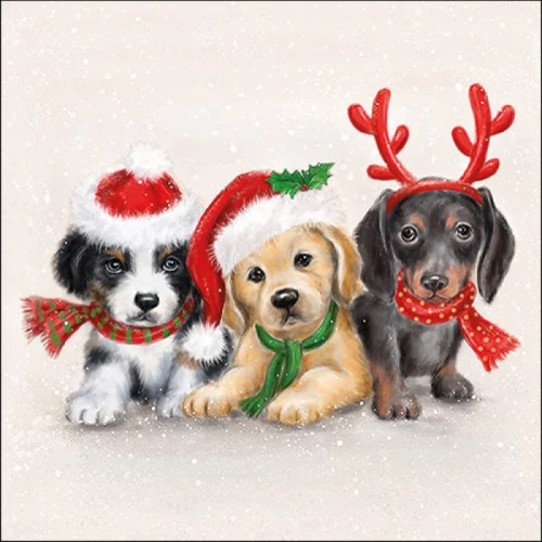 Sweet Dogs papírszalvéta 33x33cm, 20db-os, AMB.33316855