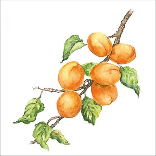 Marille papírszalvéta 33x33cm, 20db-os, AMB.13317685