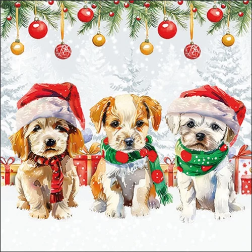 Funny cute puppies papírszalvéta 33x33cm, 20db-os, AMB.33320090