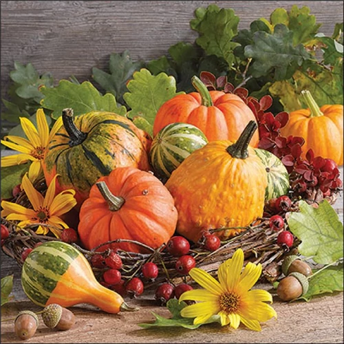 Pumpkin varieties papírszalvéta 33x33cm, 20db-os, AMB.13320255