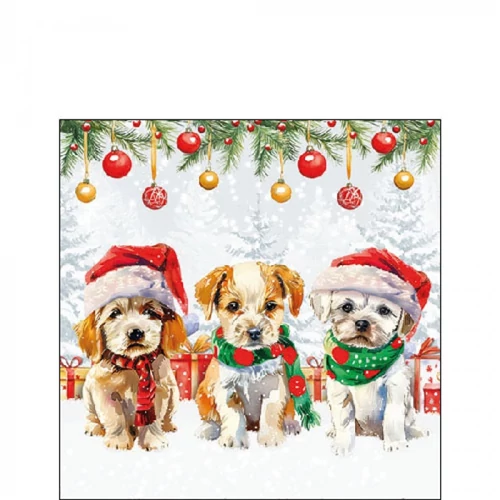 Funny cute puppies papírszalvéta 25x25cm, 20db-os, AMB.32520090