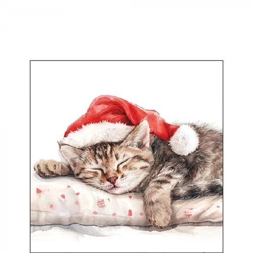 Dreaming about X-Mas papírszalvéta 25x25cm, 20db-os, AMB.32520080